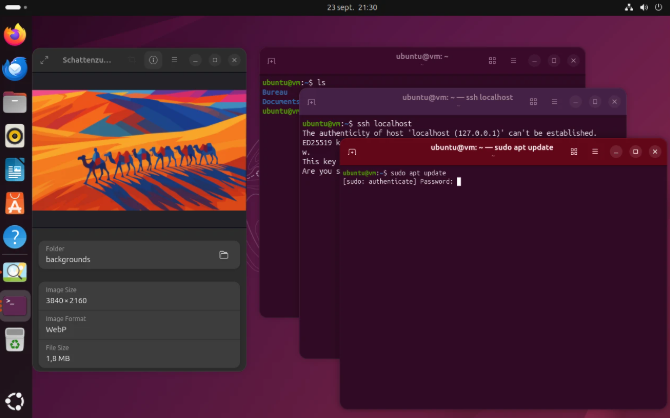 Linux Operating Systems for Cloud Deployments by Musato Technologies